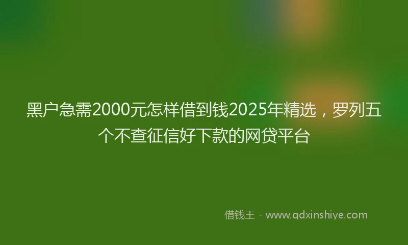 黑户急需2000元怎样借到钱2025年精选，罗列五个不查征信好下款的网贷平台