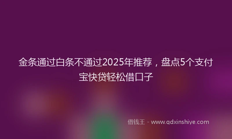 金条通过白条不通过2025年推荐，盘点5个支付宝快贷轻松借口子