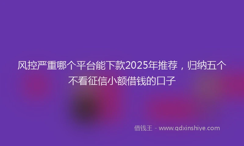 风控严重哪个平台能下款2025年推荐，归纳五个不看征信小额借钱的口子