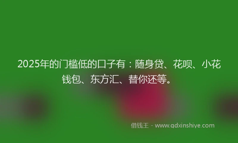 2025年的门槛低的口子有：随身贷、花呗、小花钱包、东方汇、替你还等。