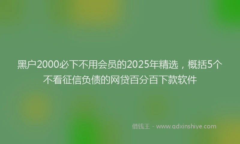 黑户2000必下不用会员的2025年精选，概括5个不看征信负债的网贷百分百下款软件