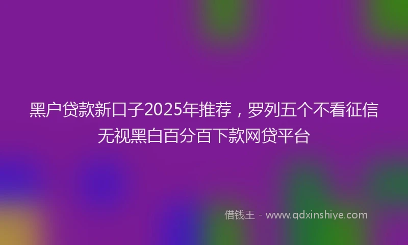 黑户贷款新口子2025年推荐，罗列五个不看征信无视黑白百分百下款网贷平台