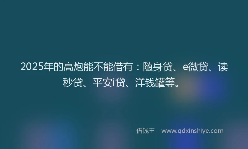 2025年的高炮能不能借有：随身贷、e微贷、读秒贷、平安i贷、洋钱罐等。
