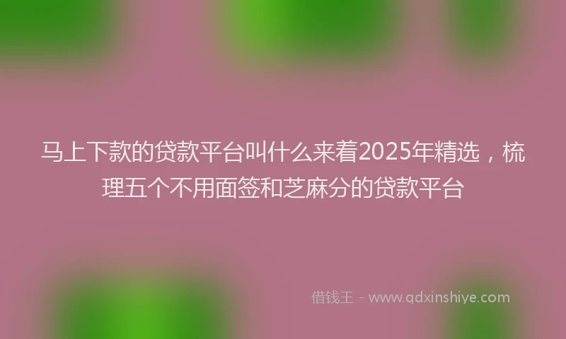 马上下款的贷款平台叫什么来着2025年精选，梳理五个不用面签和芝麻分的贷款平台