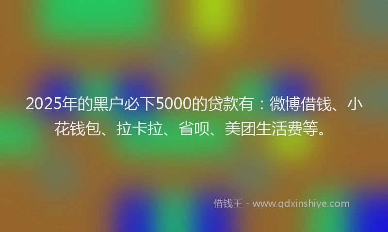 2025年的黑户必下5000的贷款有：微博借钱、小花钱包、拉卡拉、省呗、美团生活费等。
