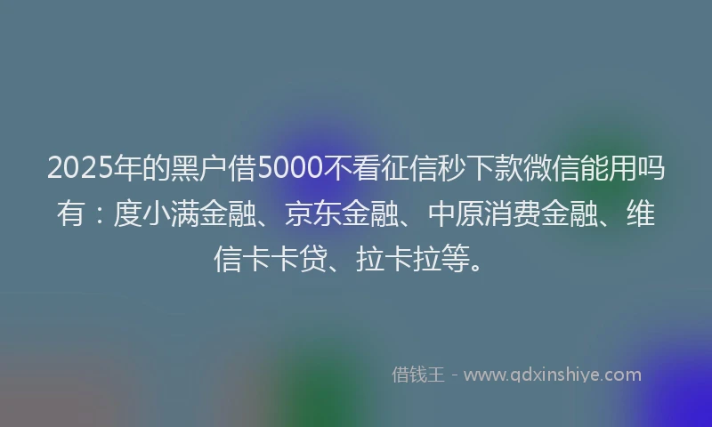 2025年的黑户借5000不看征信秒下款微信能用吗有：度小满金融、京东金融、中原消费金融、维信卡卡贷、拉卡拉等。
