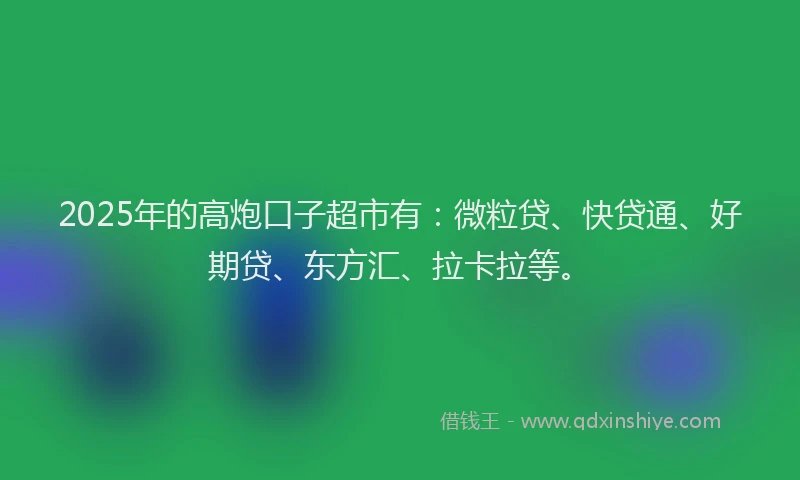 2025年的高炮口子超市有：微粒贷、快贷通、好期贷、东方汇、拉卡拉等。
