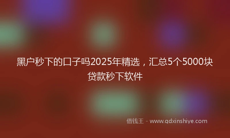 黑户秒下的口子吗2025年精选，汇总5个5000块贷款秒下软件