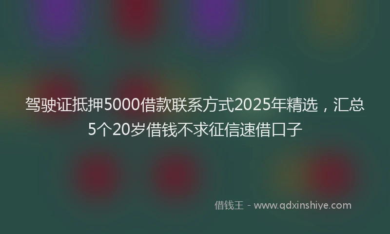 驾驶证抵押5000借款联系方式2025年精选，汇总5个20岁借钱不求征信速借口子