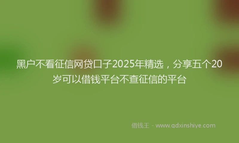 黑户不看征信网贷口子2025年精选，分享五个20岁可以借钱平台不查征信的平台