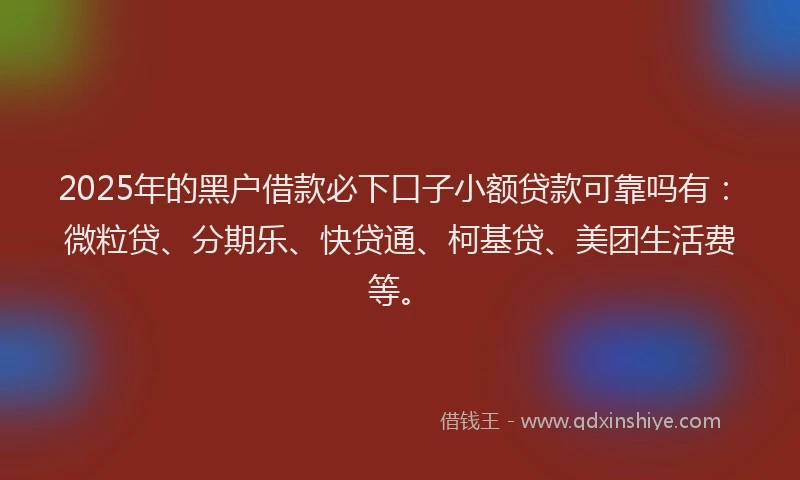 2025年的黑户借款必下口子小额贷款可靠吗有：微粒贷、分期乐、快贷通、柯基贷、美团生活费等。