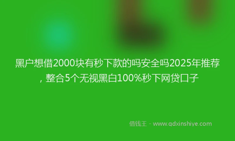 黑户想借2000块有秒下款的吗安全吗2025年推荐，整合5个无视黑白100%秒下网贷口子