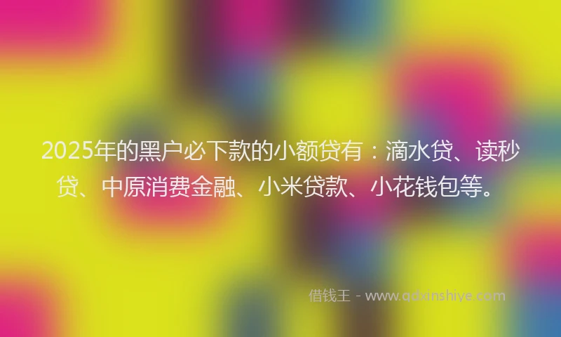 2025年的黑户必下款的小额贷有：滴水贷、读秒贷、中原消费金融、小米贷款、小花钱包等。