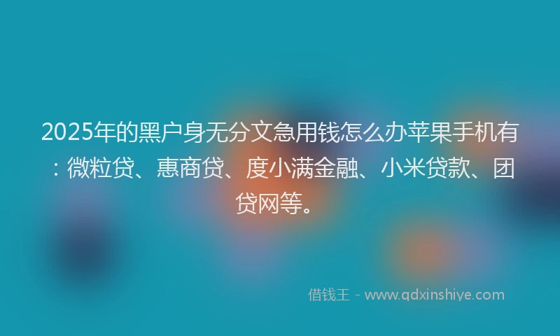 2025年的黑户身无分文急用钱怎么办苹果手机有：微粒贷、惠商贷、度小满金融、小米贷款、团贷网等。