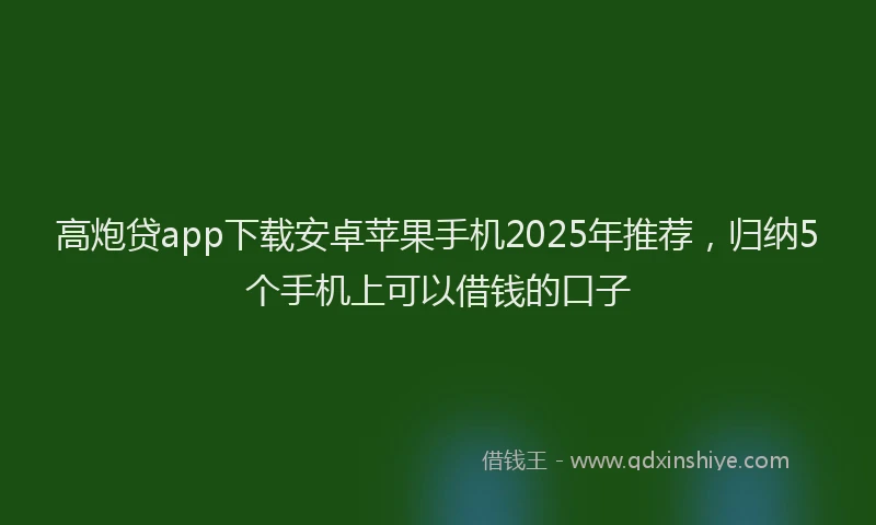高炮贷app下载安卓苹果手机2025年推荐，归纳5个手机上可以借钱的口子