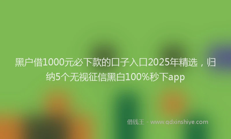 黑户借1000元必下款的口子入口2025年精选，归纳5个无视征信黑白100%秒下app