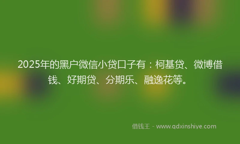 2025年的黑户微信小贷口子有：柯基贷、微博借钱、好期贷、分期乐、融逸花等。