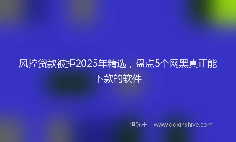 风控贷款被拒2025年精选，盘点5个网黑真正能下款的软件