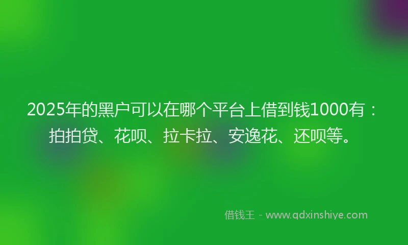 2025年的黑户可以在哪个平台上借到钱1000有：拍拍贷、花呗、拉卡拉、安逸花、还呗等。