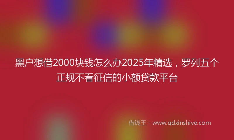 黑户想借2000块钱怎么办2025年精选，罗列五个正规不看征信的小额贷款平台