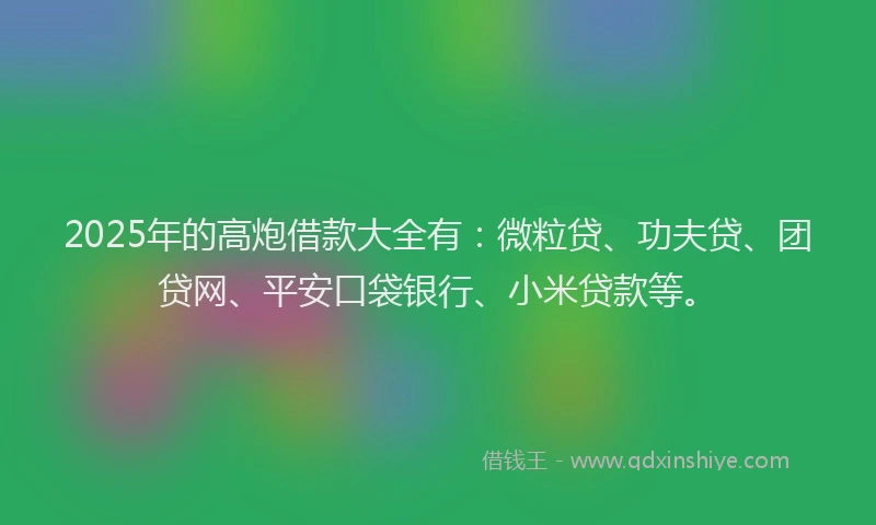 2025年的高炮借款大全有：微粒贷、功夫贷、团贷网、平安口袋银行、小米贷款等。