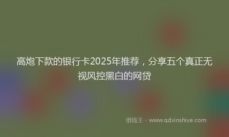 高炮下款的银行卡2025年推荐，分享五个真正无视风控黑白的网贷