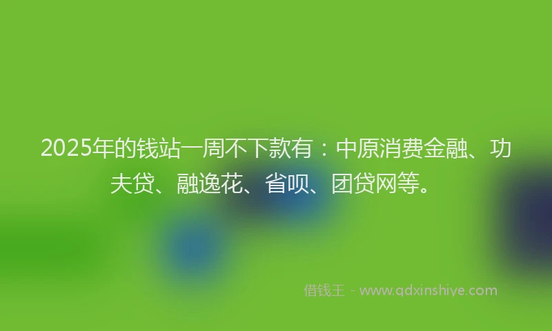 2025年的钱站一周不下款有：中原消费金融、功夫贷、融逸花、省呗、团贷网等。