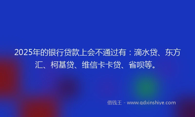 2025年的银行贷款上会不通过有：滴水贷、东方汇、柯基贷、维信卡卡贷、省呗等。