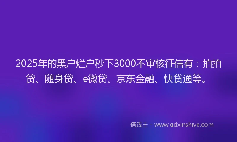 2025年的黑户烂户秒下3000不审核征信有：拍拍贷、随身贷、e微贷、京东金融、快贷通等。