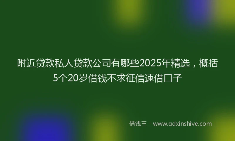 附近贷款私人贷款公司有哪些2025年精选，概括5个20岁借钱不求征信速借口子