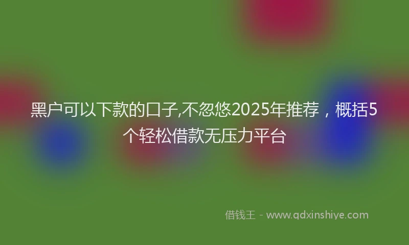 黑户可以下款的口子,不忽悠2025年推荐，概括5个轻松借款无压力平台
