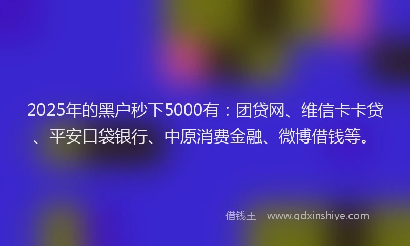 2025年的黑户秒下5000有：团贷网、维信卡卡贷、平安口袋银行、中原消费金融、微博借钱等。