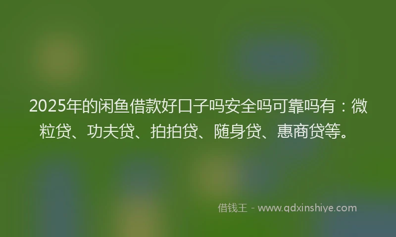 2025年的闲鱼借款好口子吗安全吗可靠吗有：微粒贷、功夫贷、拍拍贷、随身贷、惠商贷等。