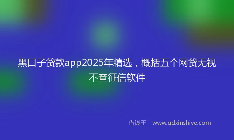 黑口子贷款app2025年精选，概括五个网贷无视不查征信软件