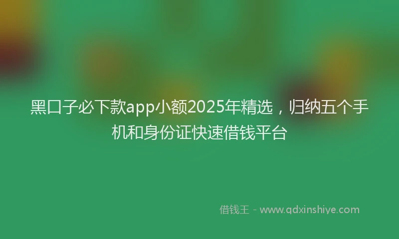 黑口子必下款app小额2025年精选，归纳五个手机和身份证快速借钱平台