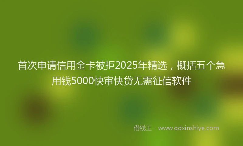 首次申请信用金卡被拒2025年精选，概括五个急用钱5000快审快贷无需征信软件