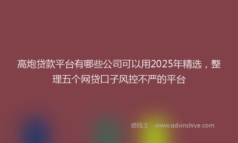 高炮贷款平台有哪些公司可以用2025年精选，整理五个网贷口子风控不严的平台