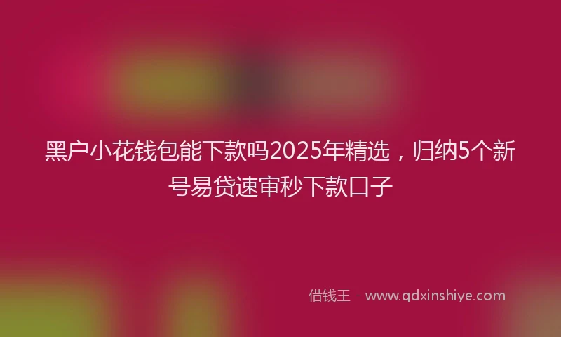 黑户小花钱包能下款吗2025年精选，归纳5个新号易贷速审秒下款口子