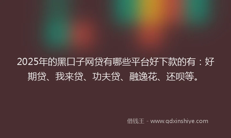 2025年的黑口子网贷有哪些平台好下款的有：好期贷、我来贷、功夫贷、融逸花、还呗等。