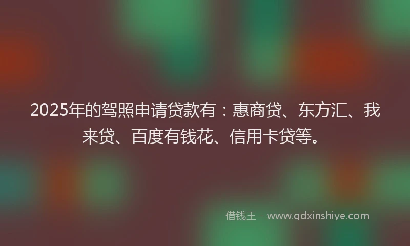 2025年的驾照申请贷款有：惠商贷、东方汇、我来贷、百度有钱花、信用卡贷等。