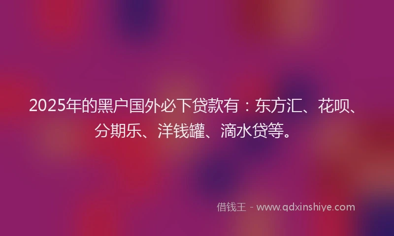 2025年的黑户国外必下贷款有：东方汇、花呗、分期乐、洋钱罐、滴水贷等。