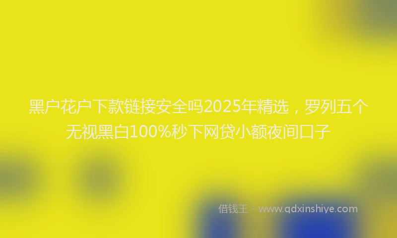 黑户花户下款链接安全吗2025年精选，罗列五个无视黑白100%秒下网贷小额夜间口子