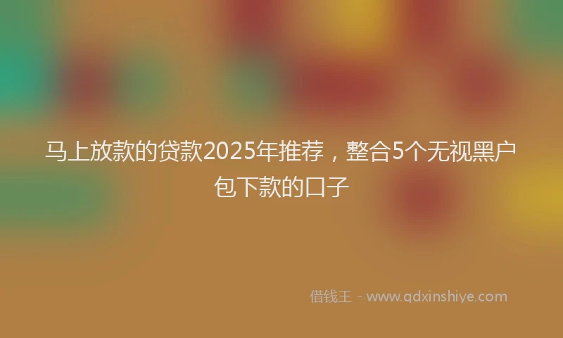 马上放款的贷款2025年推荐，整合5个无视黑户包下款的口子
