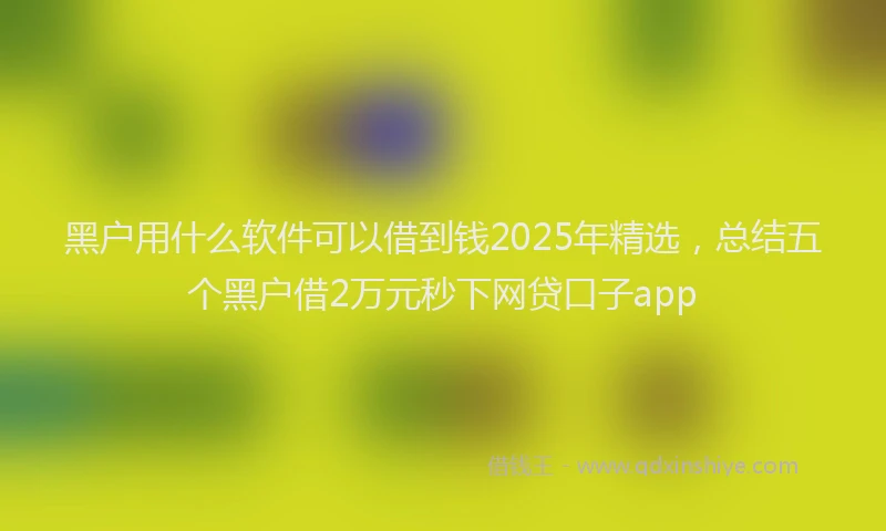 黑户用什么软件可以借到钱2025年精选，总结五个黑户借2万元秒下网贷口子app