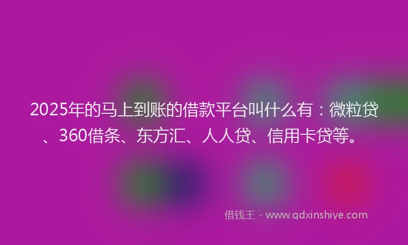 2025年的马上到账的借款平台叫什么有：微粒贷、360借条、东方汇、人人贷、信用卡贷等。