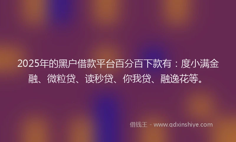 2025年的黑户借款平台百分百下款有：度小满金融、微粒贷、读秒贷、你我贷、融逸花等。