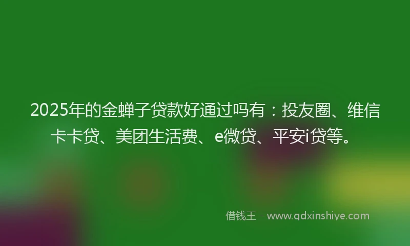 2025年的金蝉子贷款好通过吗有：投友圈、维信卡卡贷、美团生活费、e微贷、平安i贷等。