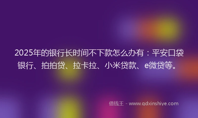 2025年的银行长时间不下款怎么办有：平安口袋银行、拍拍贷、拉卡拉、小米贷款、e微贷等。
