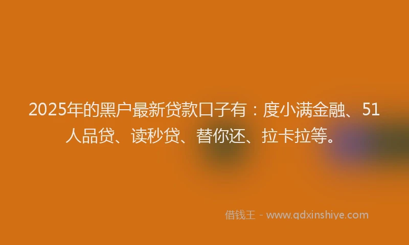2025年的黑户最新贷款口子有：度小满金融、51人品贷、读秒贷、替你还、拉卡拉等。