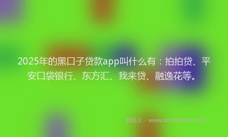 2025年的黑口子贷款app叫什么有：拍拍贷、平安口袋银行、东方汇、我来贷、融逸花等。